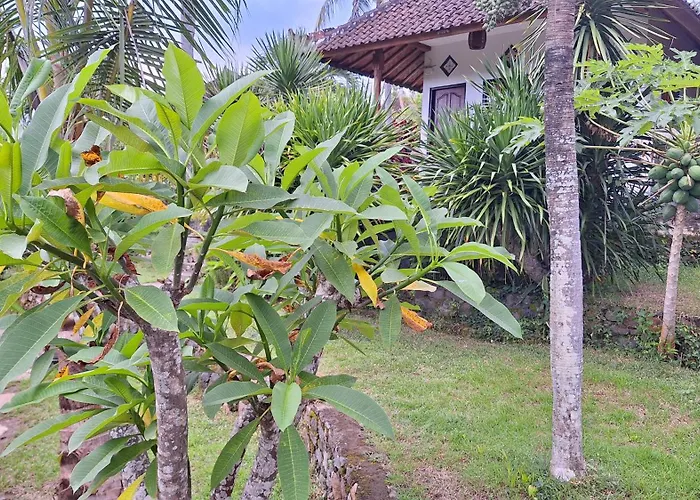 Frangipani & Restaurant ゲストハウス 4*